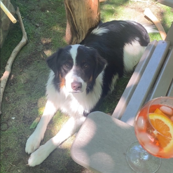 Meet your Posher, Leah - Picture 4 of 5